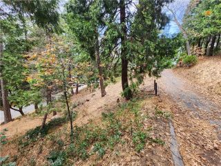 24397 Horst, Crestline, CA 92325
