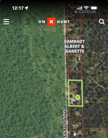 11164 N Merrillville Road Lot: 11-13, Irons, MI 49644