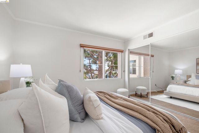 535 Pierce Street 1300, Albany, CA 94706