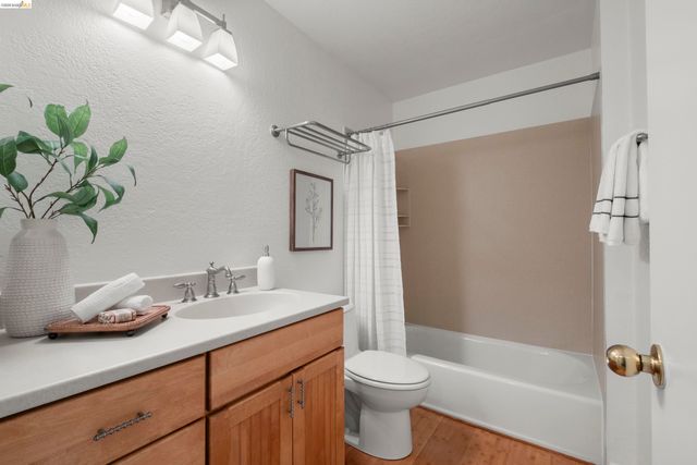 535 Pierce Street 1300, Albany, CA 94706