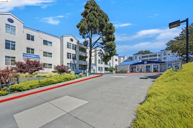 535 Pierce Street 1300, Albany, CA 94706