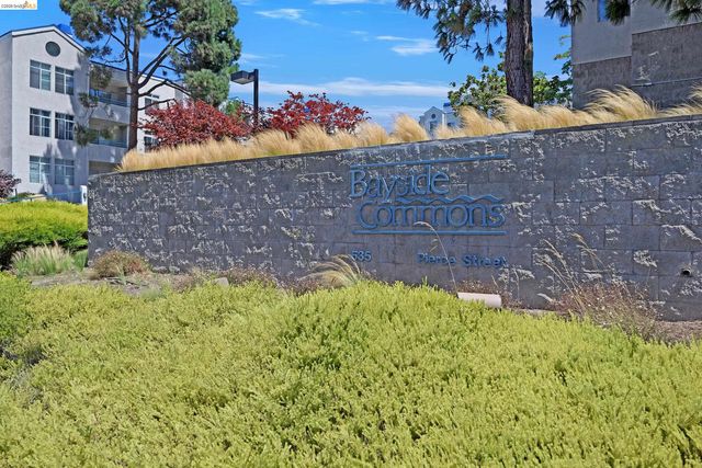 535 Pierce Street 1300, Albany, CA 94706