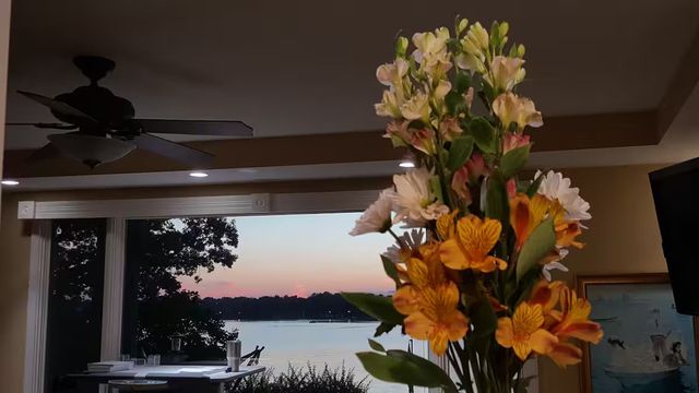 4 Forest Knolls, Decatur, IL 62521