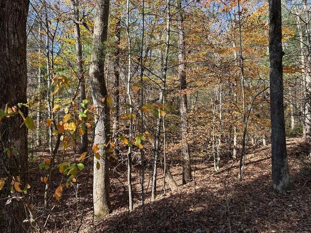 Lot 1&5 Pearl Wright Road, Blairsville, GA 30512