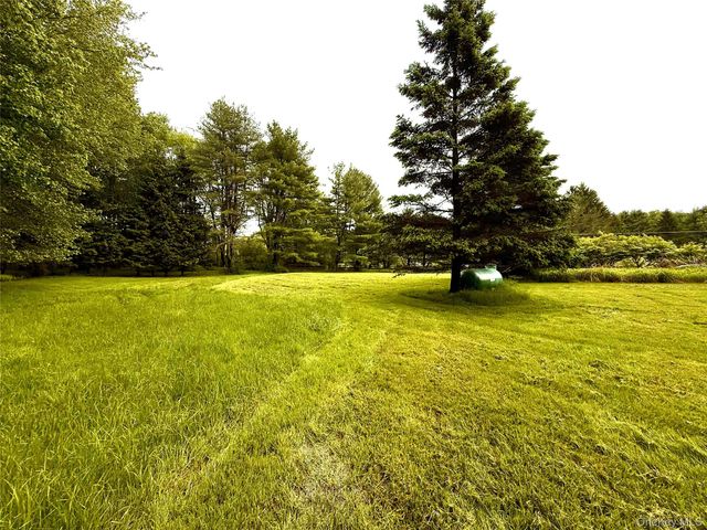 38 Moscoe Road, White Lake, NY 12786