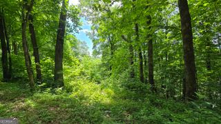 LOT 30 High Meadows, Hayesville, NC 28904