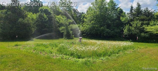 24290 Karr Road, Belleville, MI 48111
