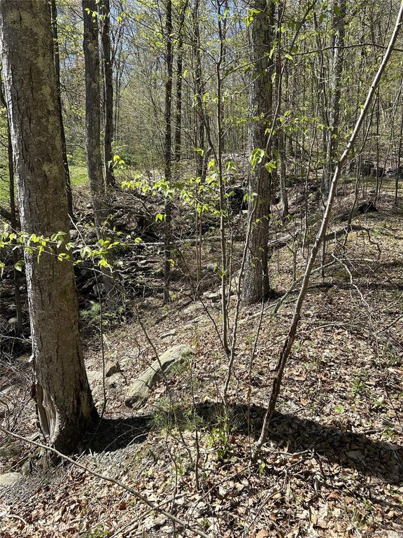 14 Hawk Mountain Drive, Sparrowbush, NY 12780