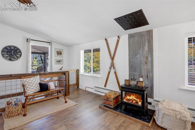 222 Nottingham Lane, Divide, CO 80814