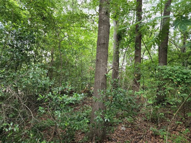 TBD Flournoy Street, Quitman, TX 75783