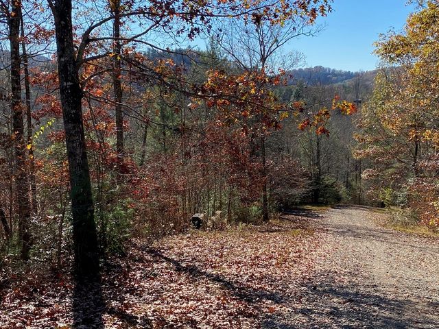 Lot 24 Thimble Loop, Murphy, NC 28906