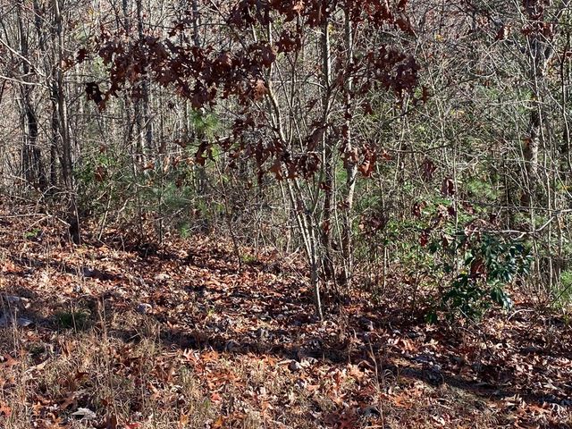 Lot 24 Thimble Loop, Murphy, NC 28906