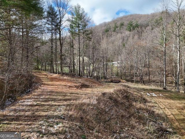 TRACT 3 Whippoorwill Way, Blairsville, GA 30512