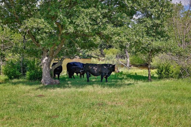 578 County Road 134, Gainesville, TX 76240