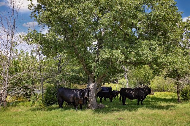 578 County Road 134, Gainesville, TX 76240