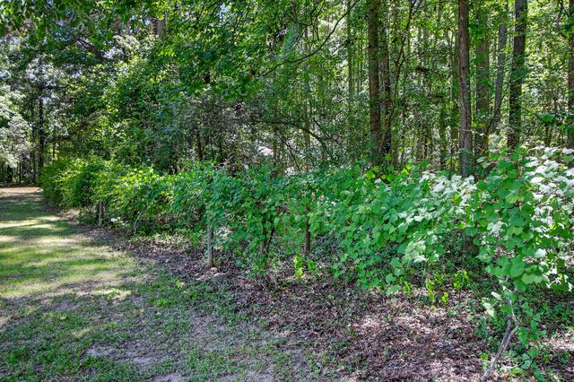 105 Satling Court, Ridgeville, SC 29472