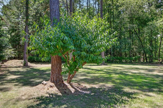 105 Satling Court, Ridgeville, SC 29472