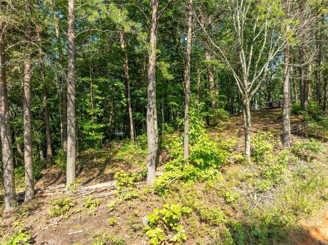 LOT 9 Brushy Top Drive, Chatsworth, GA 30705