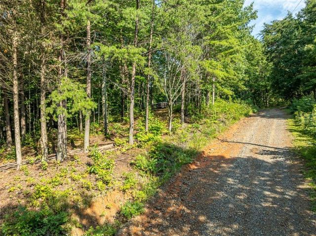 LOT 9 Brushy Top Drive, Chatsworth, GA 30705