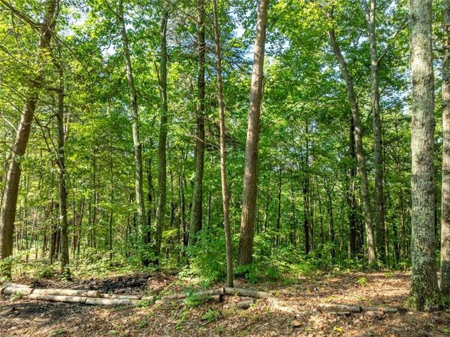 LOT 9 Brushy Top Drive, Chatsworth, GA 30705