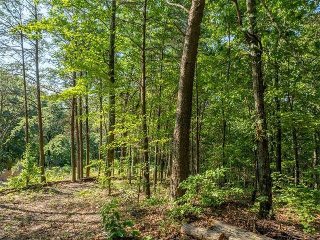 LOT 9 Brushy Top Drive, Chatsworth, GA 30705
