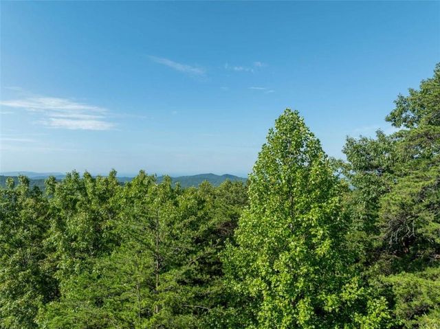 LOT 9 Brushy Top Drive, Chatsworth, GA 30705