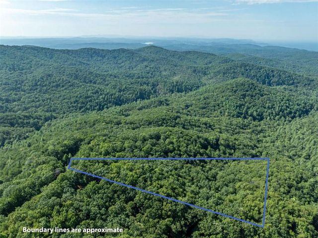 LOT 9 Brushy Top Drive, Chatsworth, GA 30705
