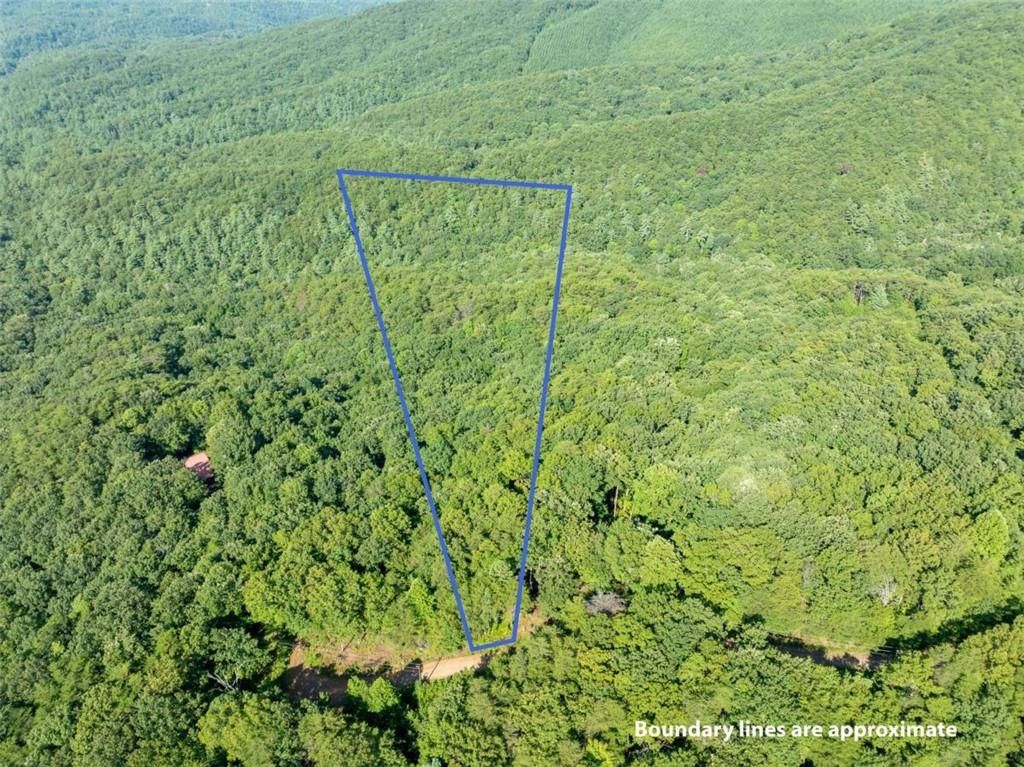 LOT 9 Brushy Top Drive, Chatsworth, GA 30705