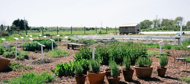 51 Gansett Lane, Amagansett, NY 11930