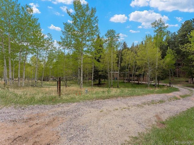 714 N Pine Dr, Bailey, CO 80421