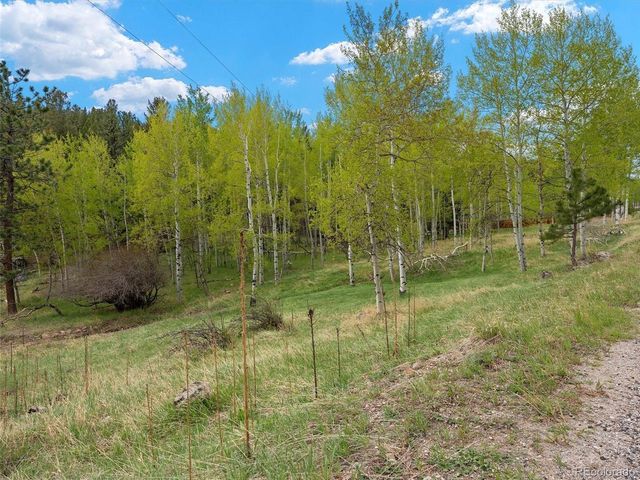 714 N Pine Dr, Bailey, CO 80421
