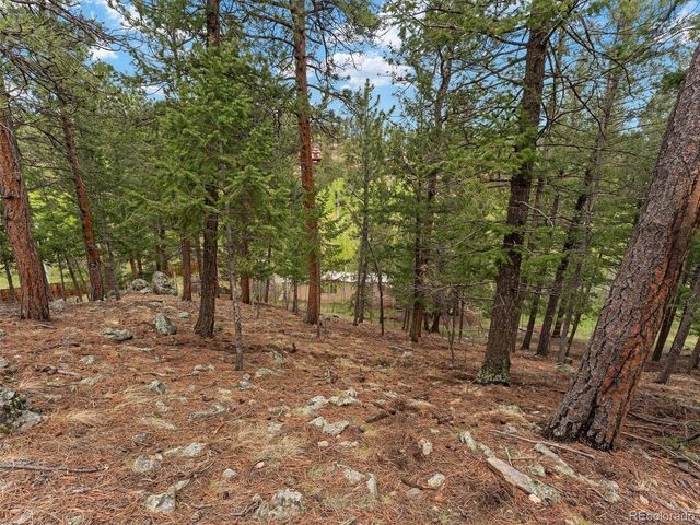 714 N Pine Dr, Bailey, CO 80421