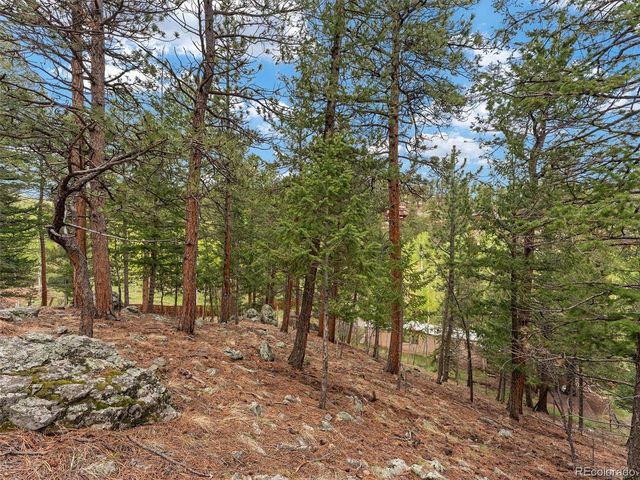 714 N Pine Dr, Bailey, CO 80421