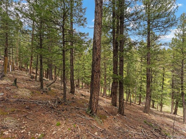 714 N Pine Dr, Bailey, CO 80421