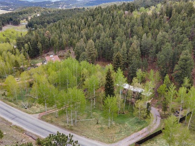 714 N Pine Dr, Bailey, CO 80421