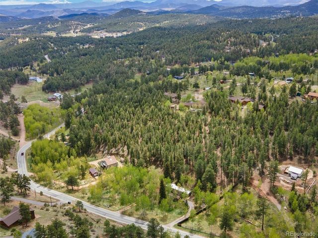 714 N Pine Dr, Bailey, CO 80421