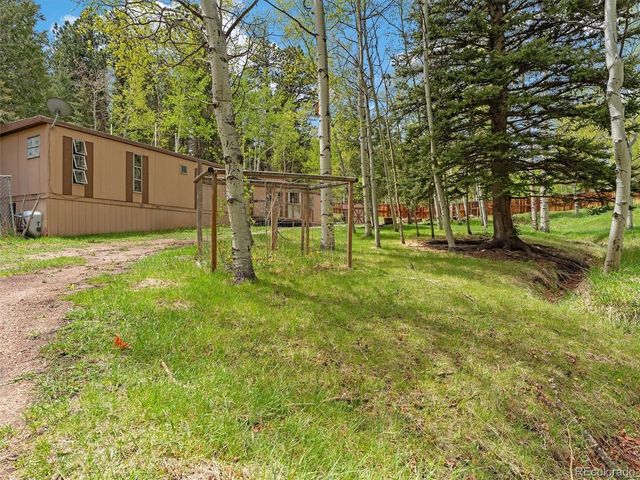 714 N Pine Dr, Bailey, CO 80421