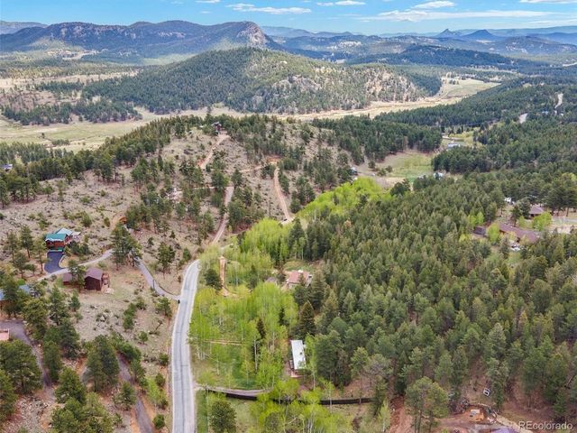 714 N Pine Dr, Bailey, CO 80421