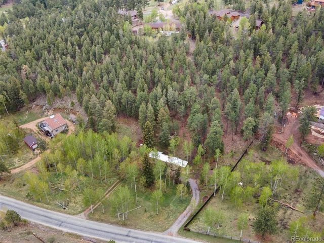 714 N Pine Dr, Bailey, CO 80421