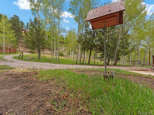 714 N Pine Dr, Bailey, CO 80421