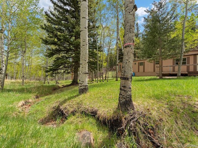714 N Pine Dr, Bailey, CO 80421