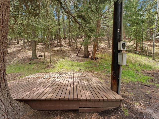 714 N Pine Dr, Bailey, CO 80421