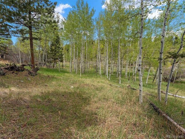 714 N Pine Dr, Bailey, CO 80421