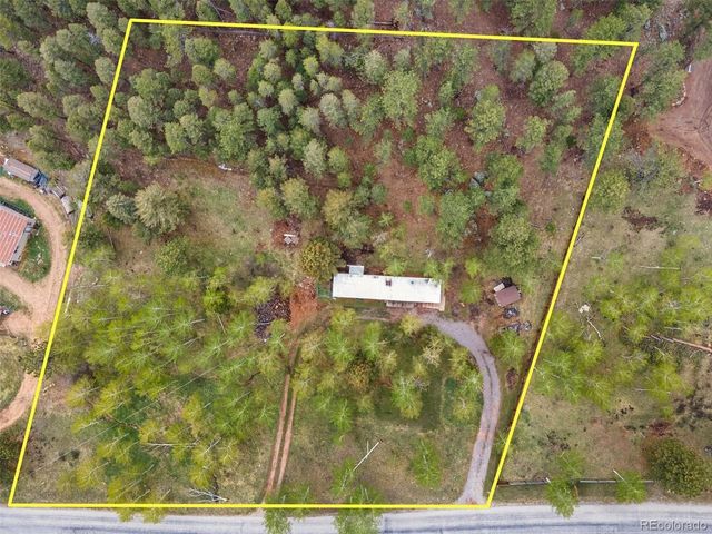 714 N Pine Dr, Bailey, CO 80421