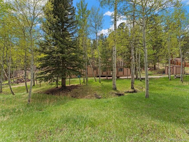 714 N Pine Dr, Bailey, CO 80421