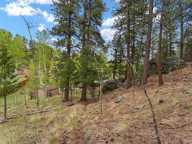 714 N Pine Dr, Bailey, CO 80421