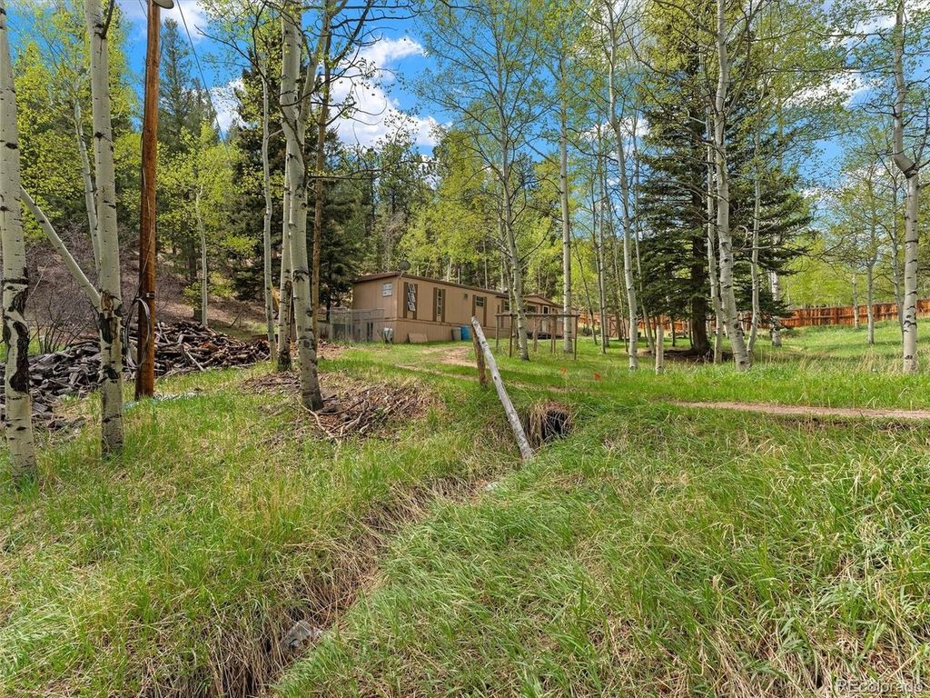 714 N Pine Dr, Bailey, CO 80421