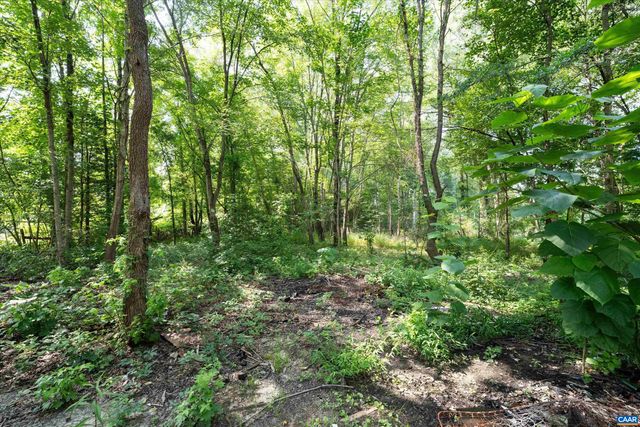 2810 RICHMOND RD, Troy, VA 22974