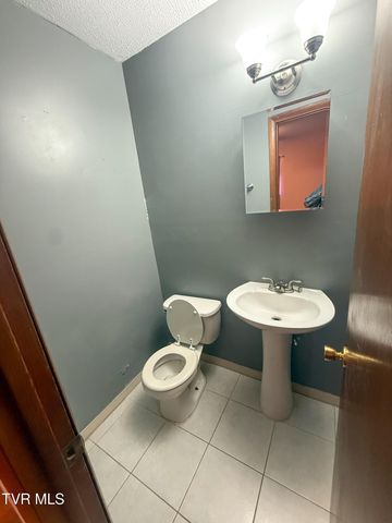 300 Peach Blossom Court, Johnson City, TN 37604
