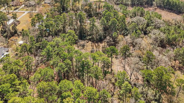 1522 Woodhue Drive, Spring, TX 77386